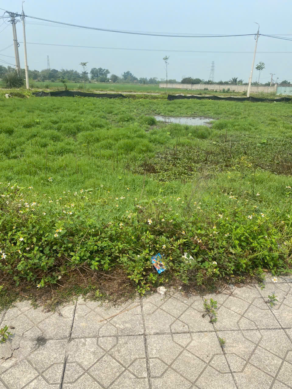 Bán đất nền dự án Đông Phú 100m2, mặt tiền 5m, đường 12.5m gần KCN Sumitomo Thanh Hóa