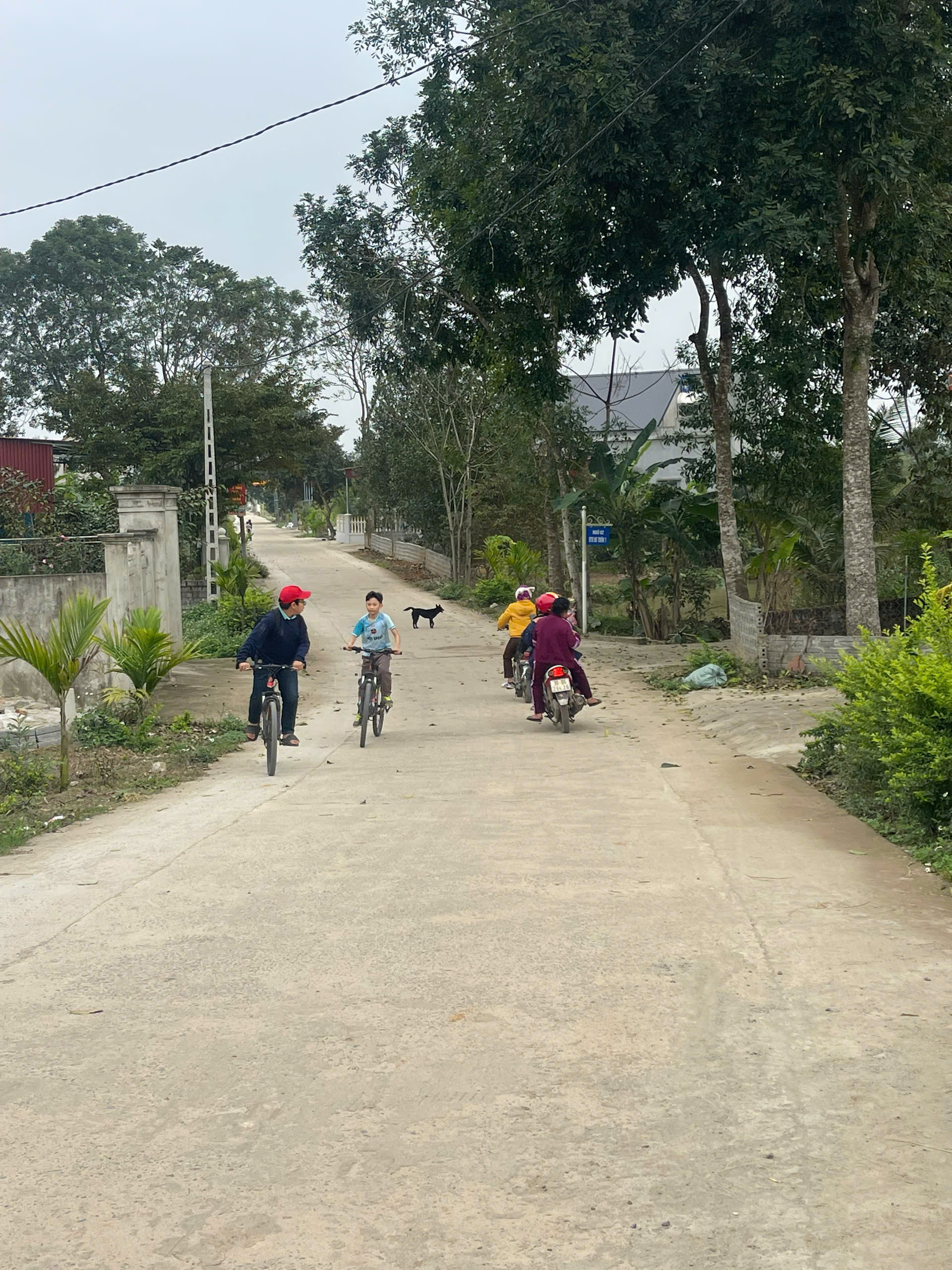 Bán đất 202m2 Thọ Cường Triệu Sơn, đường 8m gần Quốc lộ 47 giá 580 triệu