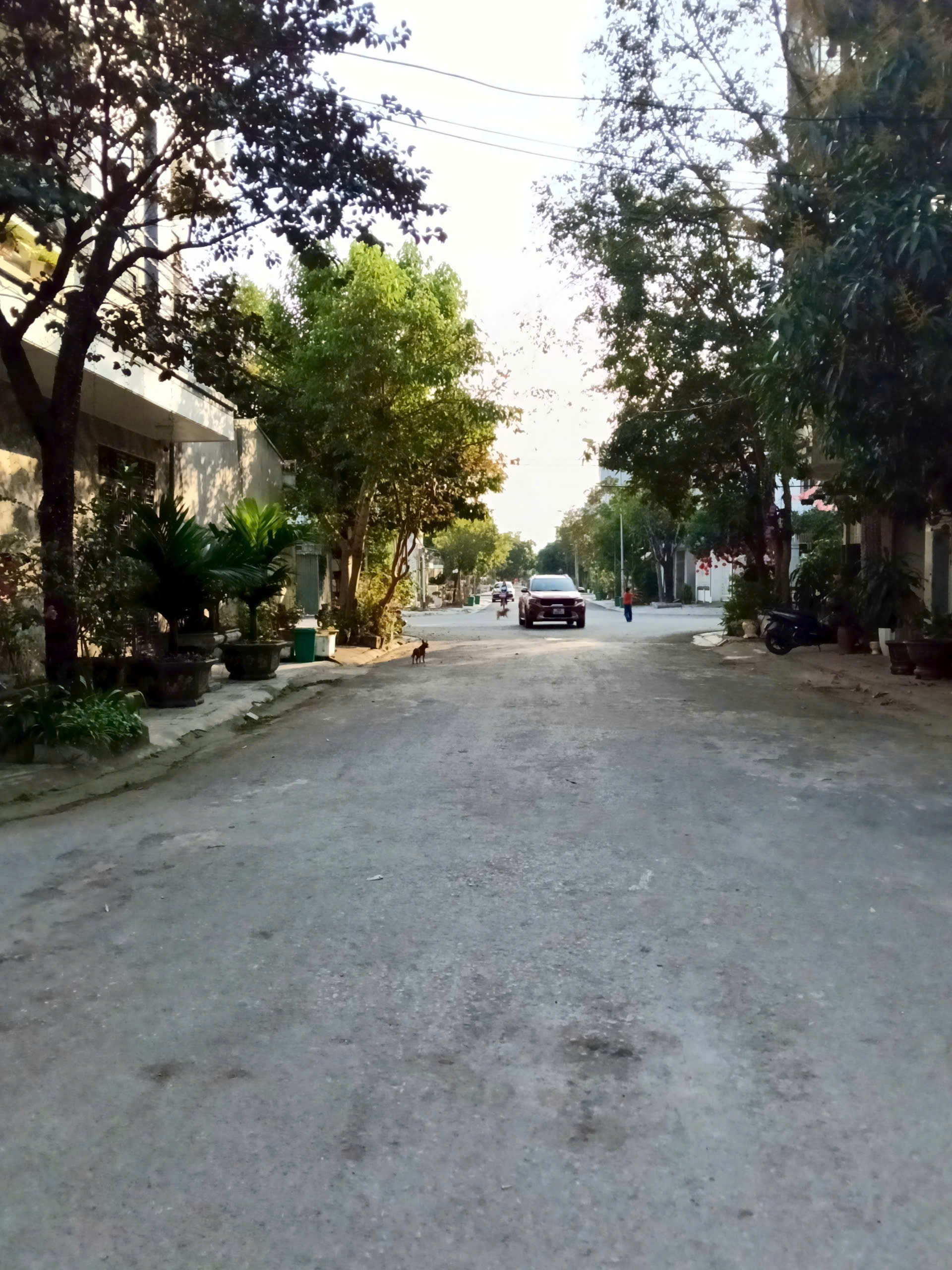 Bán nhà Nam Ngạn Thanh Hóa 52m2, đường 9m, gần Heragon City giá 2,6 tỷ