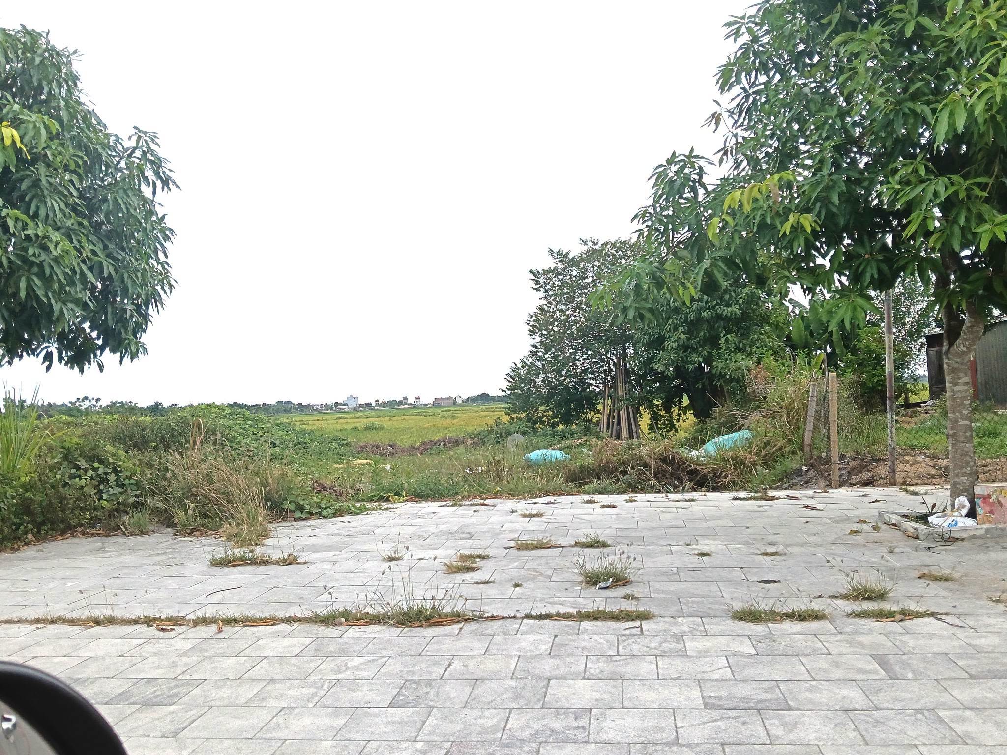 Bán đất 100m2 mặt tiền 5m đường 40m tại Hoằng Long, TP Thanh Hóa