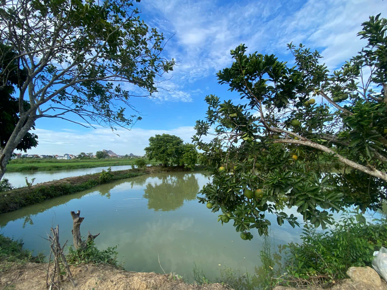 Bán trang trại nghỉ dưỡng 24.183m2 tại Đông Quang, Đông Sơn, mặt tiền 174m, đường 20m