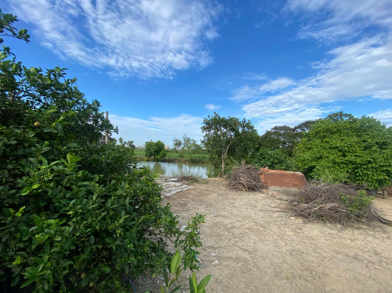 Bán trang trại nghỉ dưỡng 24.183m2 tại Đông Quang, Đông Sơn, mặt tiền 174m, đường 20m