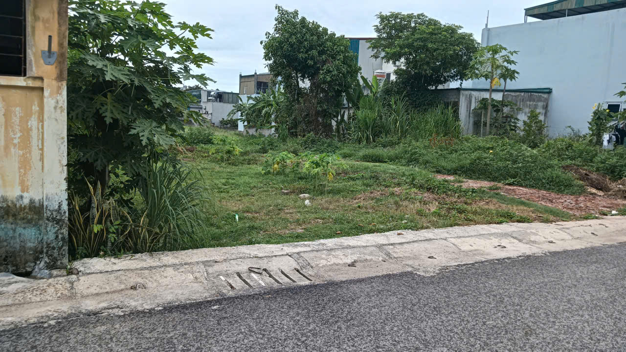 Bán đất mặt đường Thanh Chương Quảng Thành 483,7m2, đường 8m, sổ hồng sẵn