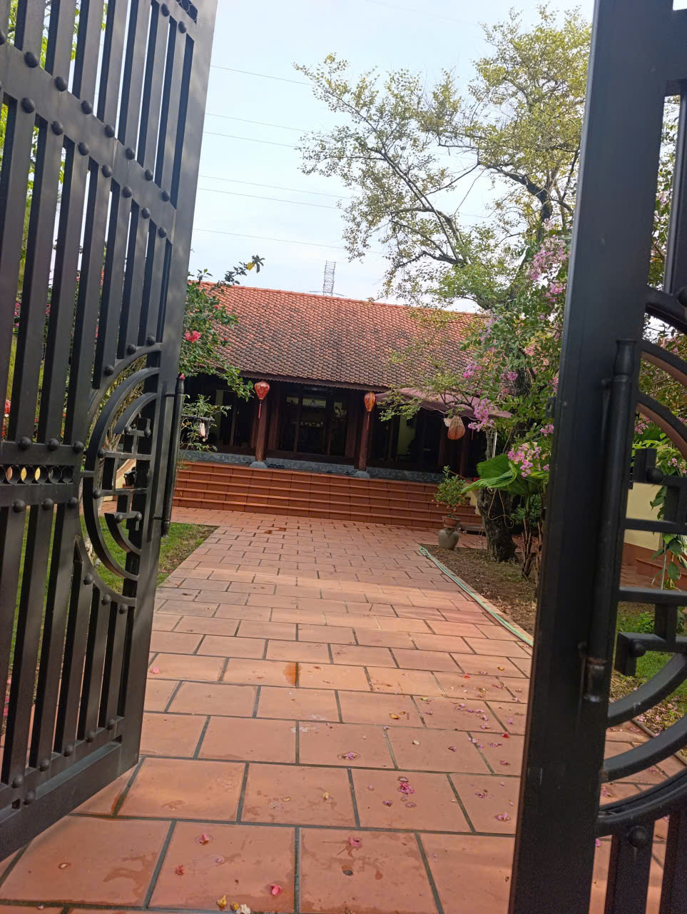 Bán biệt thự liền kề 300m2 tại ngã tư Rừng Thông, Đông Sơn - mặt tiền 15m, sổ hồng