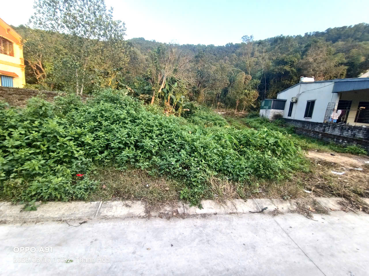 Bán đất Đông Lĩnh Thanh Hóa 276m2 mặt tiền 11m, đường 7m, sổ hồng