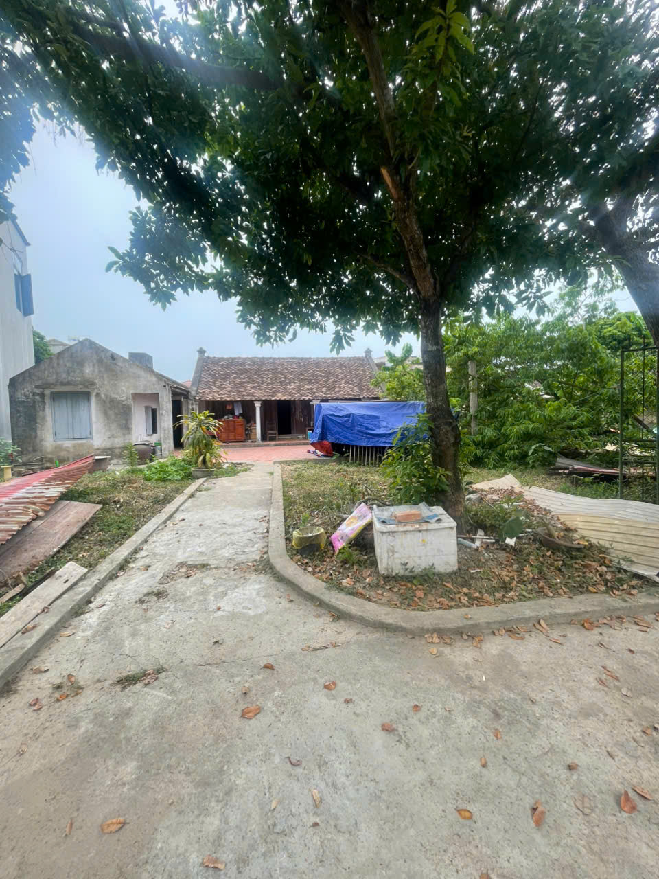 Bán nhà riêng 600m2 mặt tiền 20m tại Hoằng Đồng, Hoằng Hóa, gần QL1A