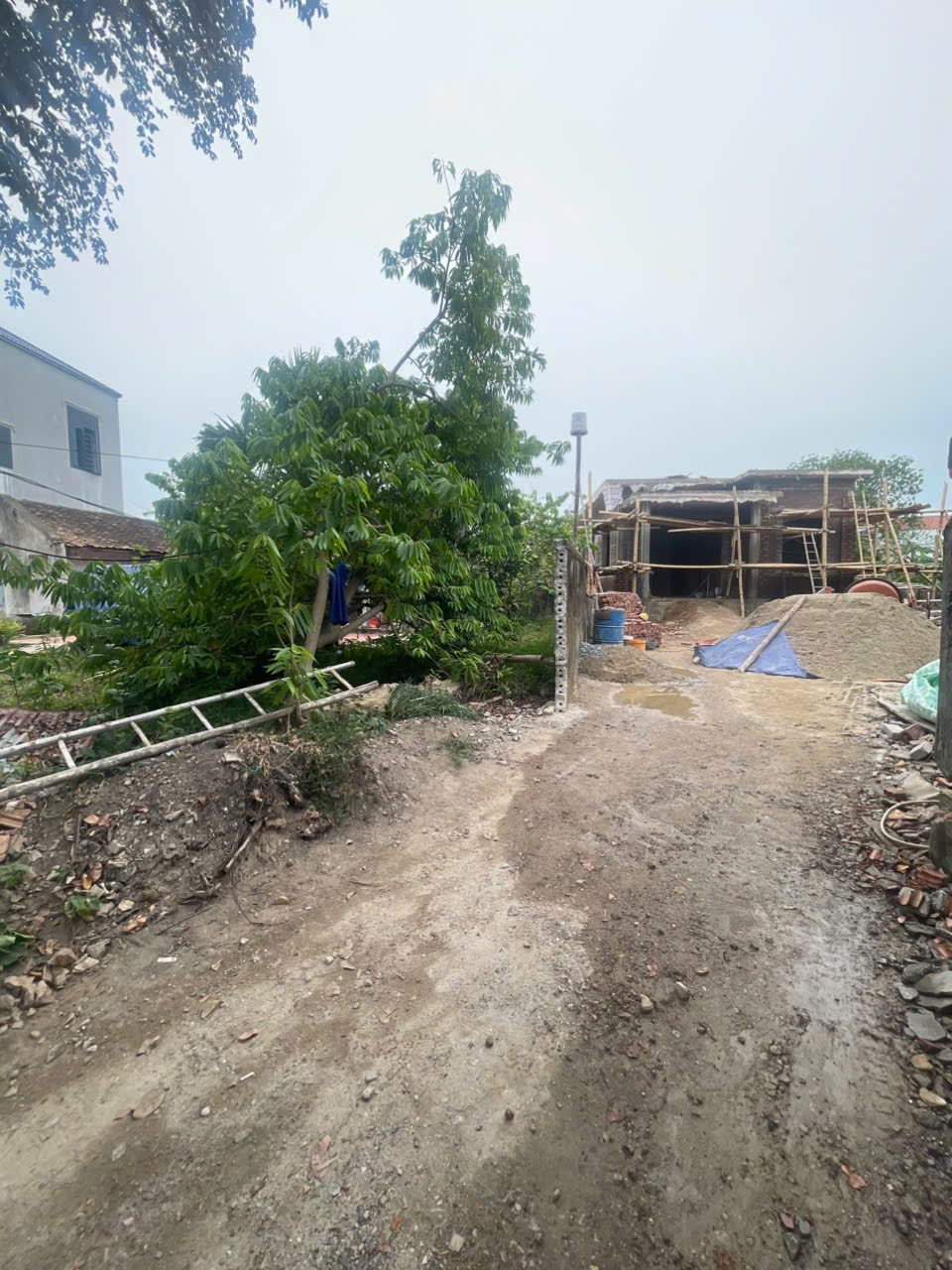 Bán nhà riêng 600m2 mặt tiền 20m tại Hoằng Đồng, Hoằng Hóa, gần QL1A