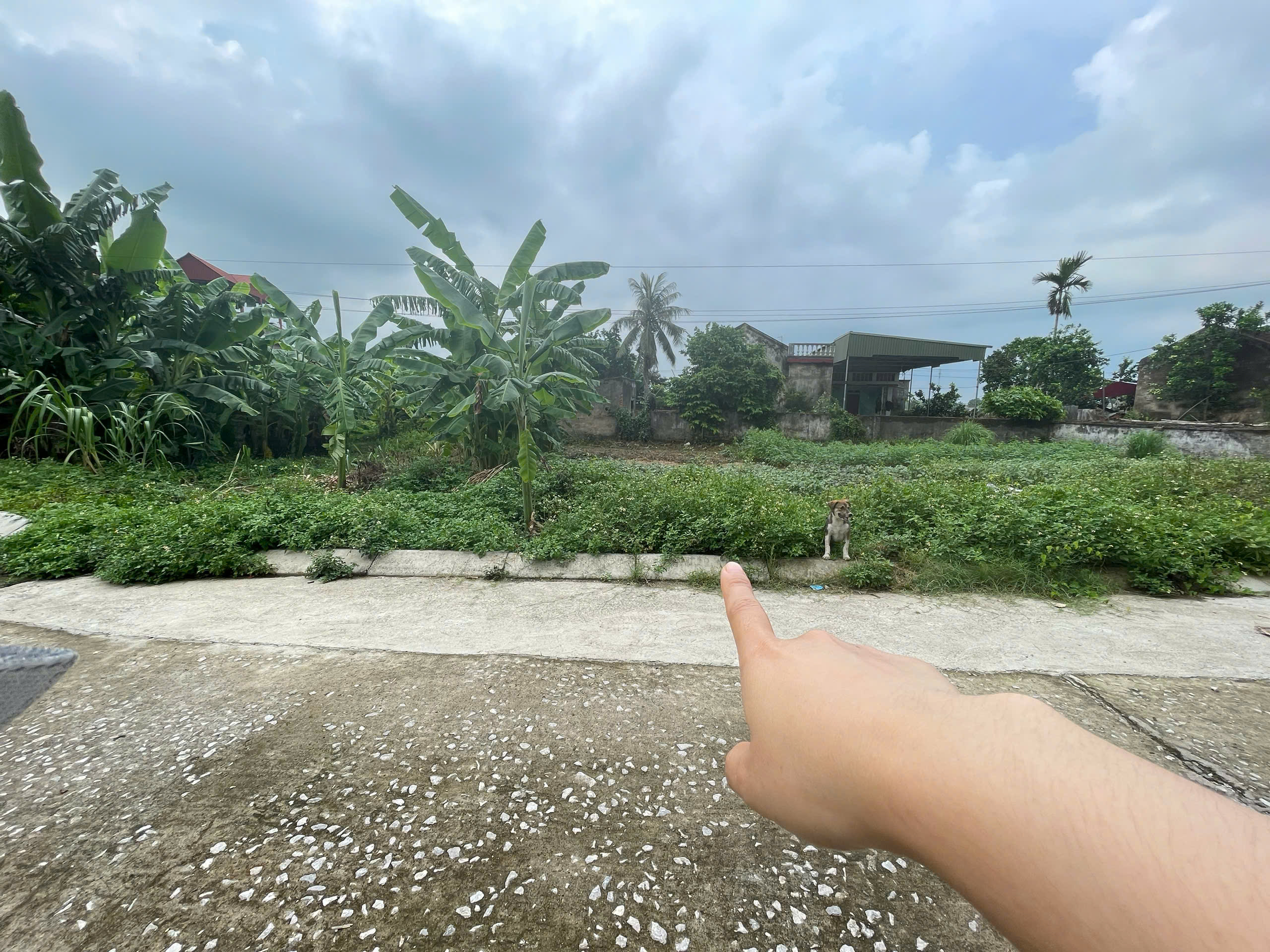 Bán đất 90m2 mặt tiền 5m gần Tượng Phật lớn Thị Trấn Nưa, Triệu Sơn