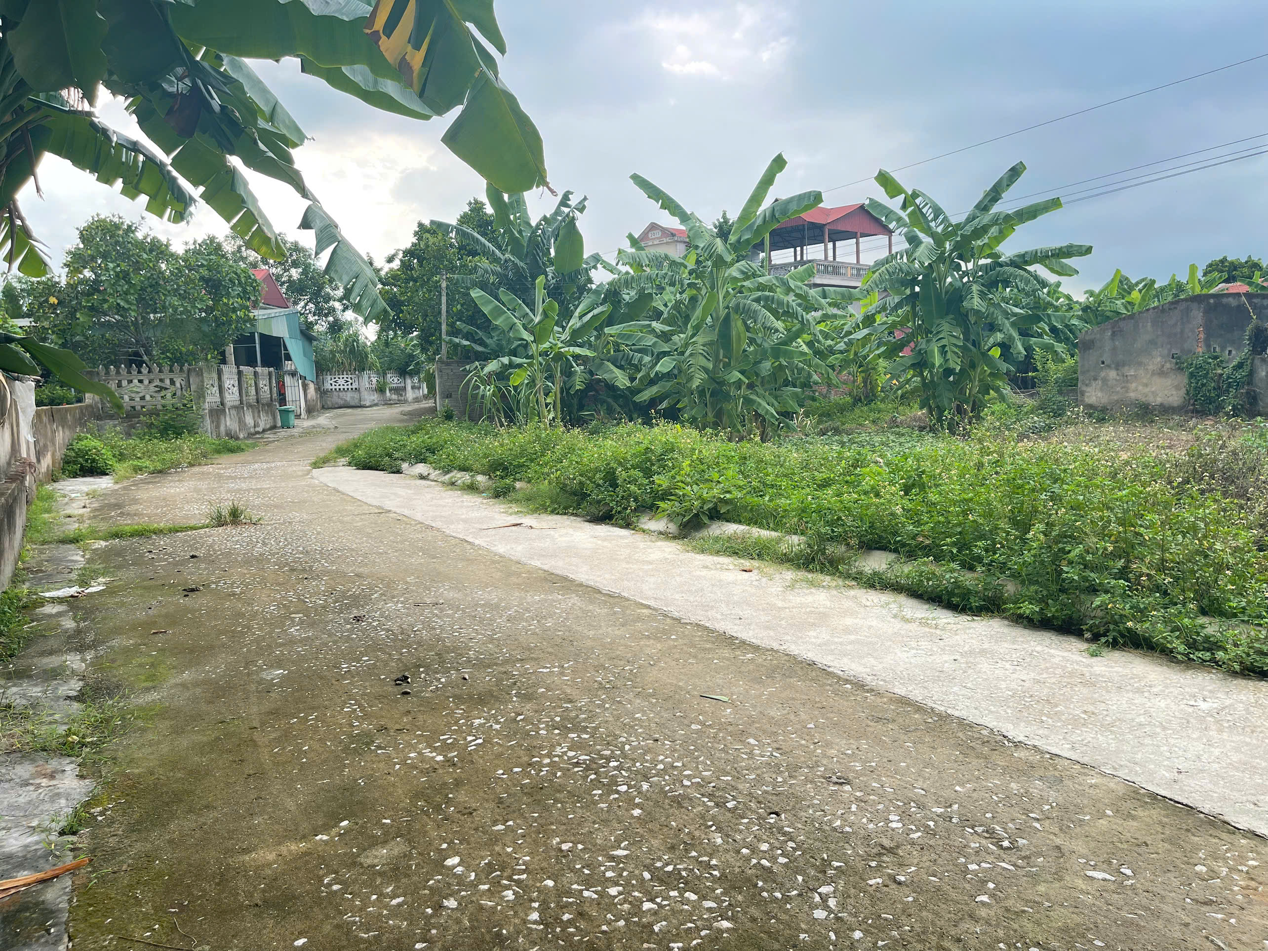 Bán đất 90m2 mặt tiền 5m gần Tượng Phật lớn Thị Trấn Nưa, Triệu Sơn