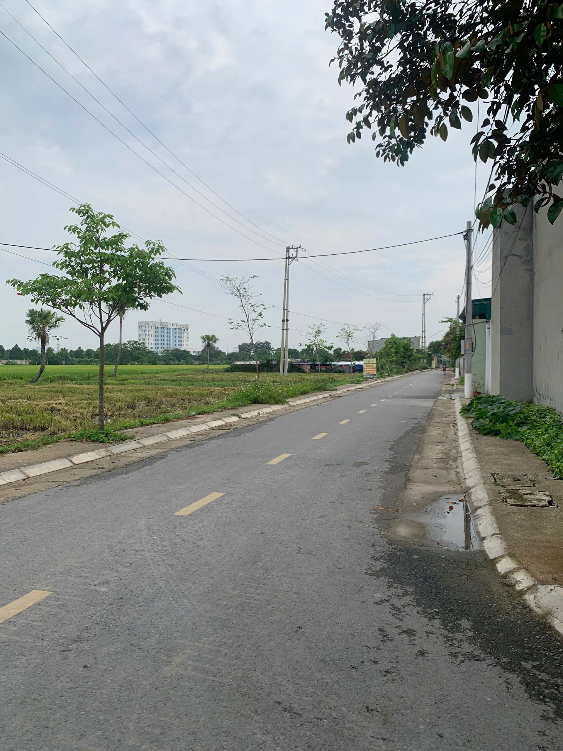 Bán đất 60m2 Quảng Thành Thanh Hóa, mặt tiền 6.9m gần Đại học HDU