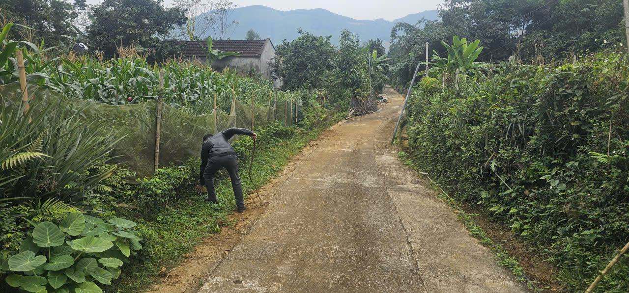 Bán đất 369,4m2 mặt tiền 15m gần Trường Tiểu học Ngọc Phụng, Thường Xuân