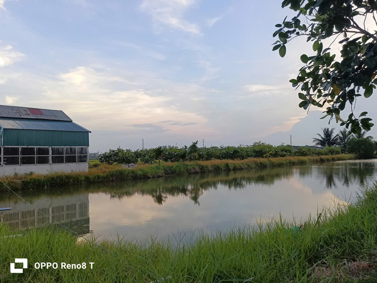 Bán Trang Trại Nghỉ Dưỡng 10.000m2 Tại Quảng Phú Thanh Hóa, Giá 1,7 Tỷ