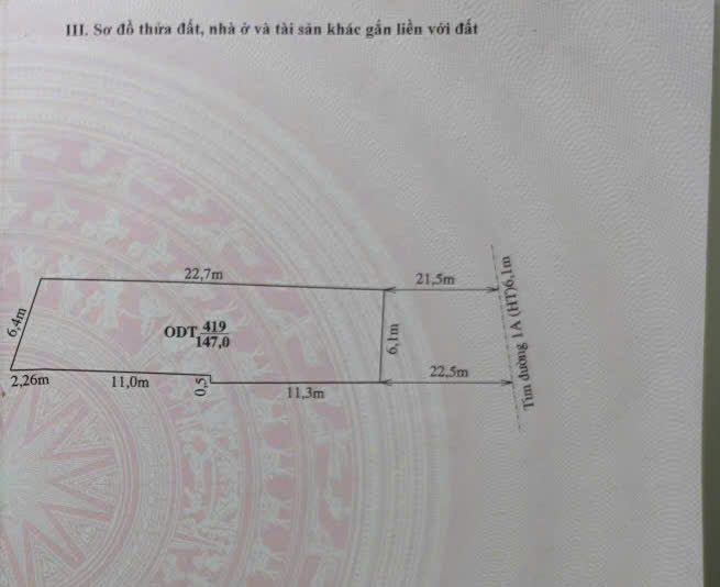 Bán đất mặt đường Quang Trung Thanh Hóa 147m2, nở hậu, đường 45m, sổ hồng