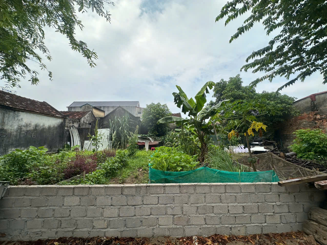 Bán đất Quang Trung Quảng Tâm 73m2, mặt tiền 5,9m, đường 8m, sổ hồng