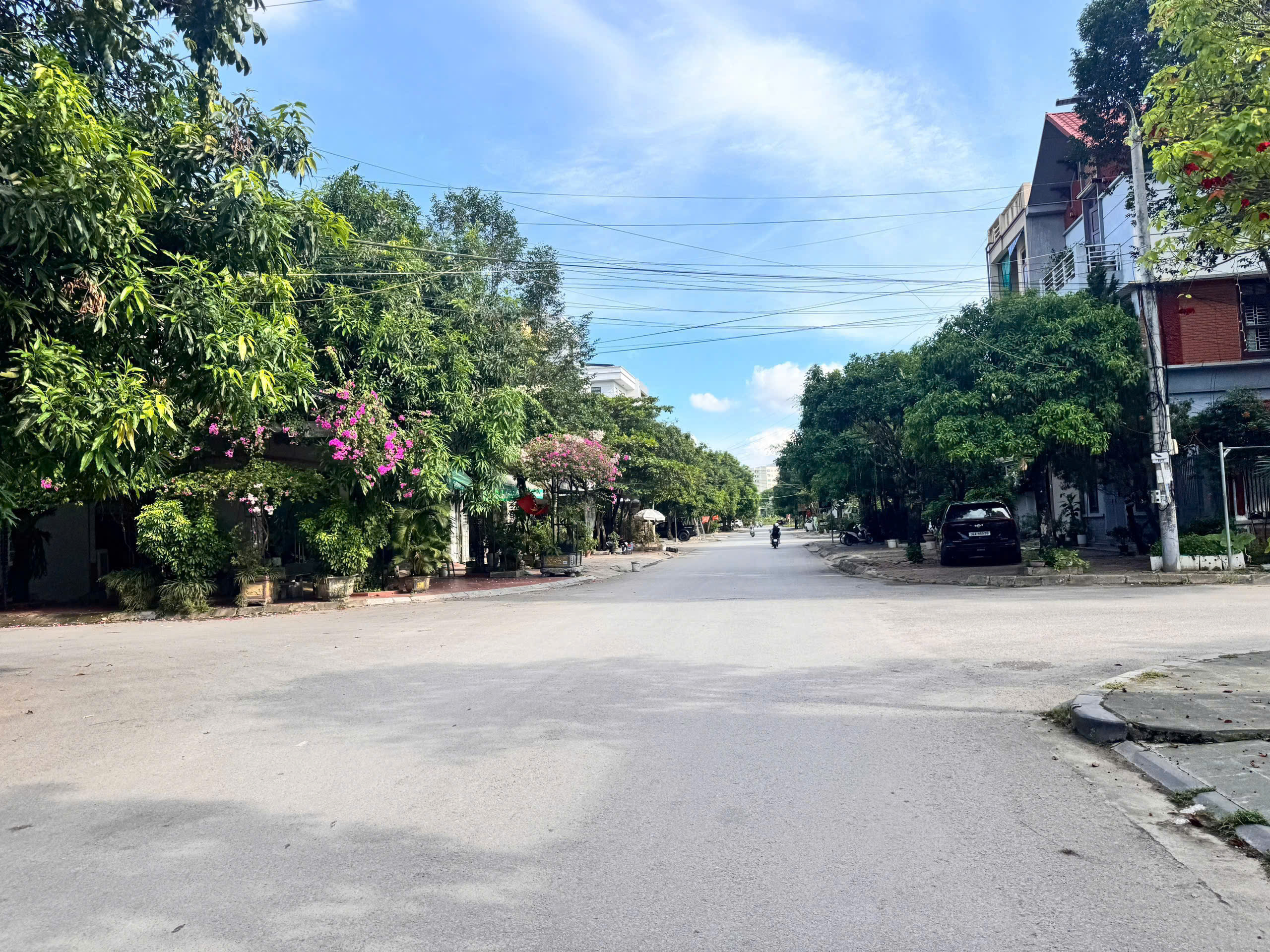 Bán nhà mặt phố Trịnh Tùng Đông Vệ 114m2, đường 23,5m, sổ hồng