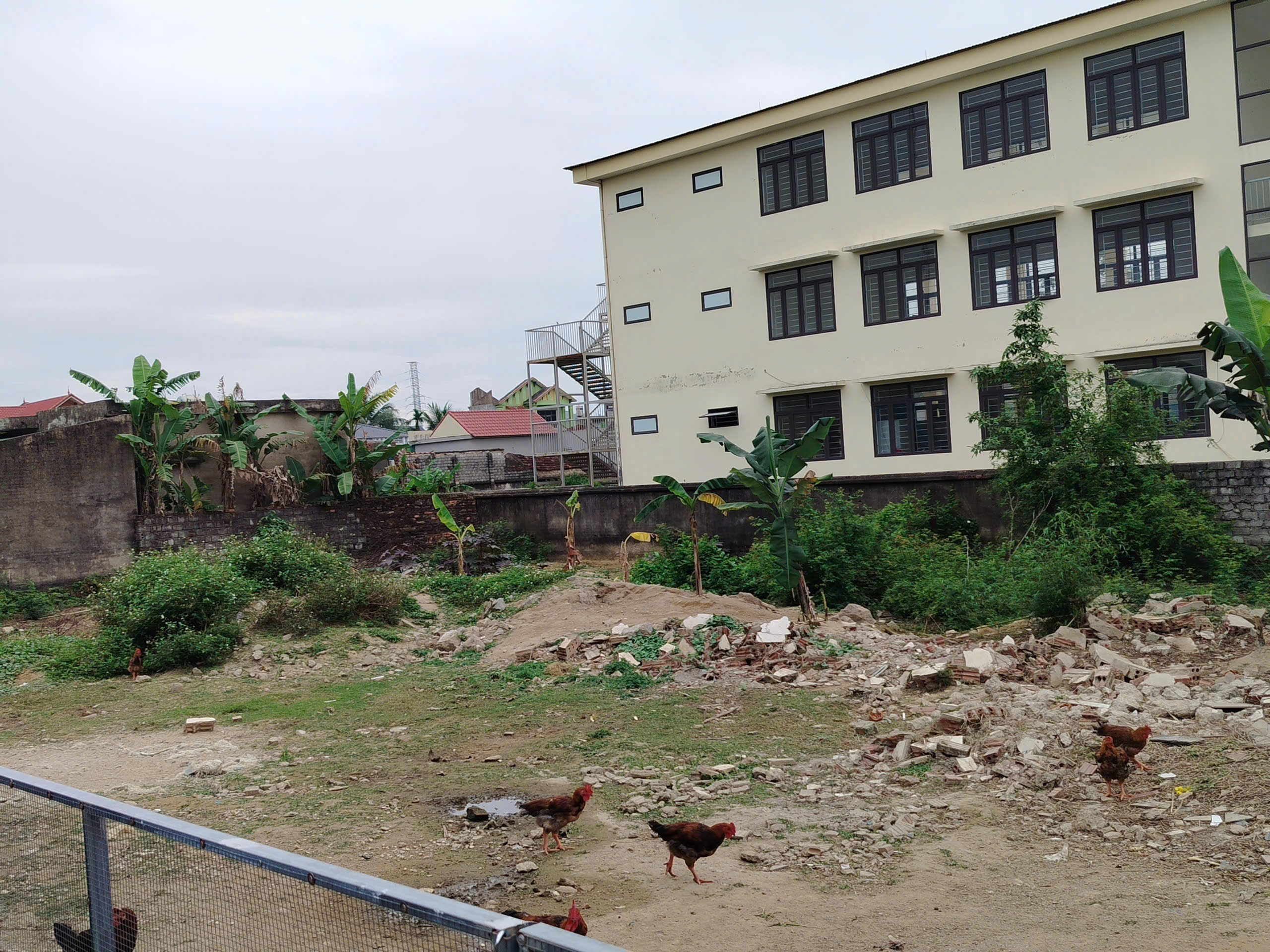 Bán đất phố 4 Quảng Cát 150m2 nở hậu, gần trường Chu Văn An, sổ hồng