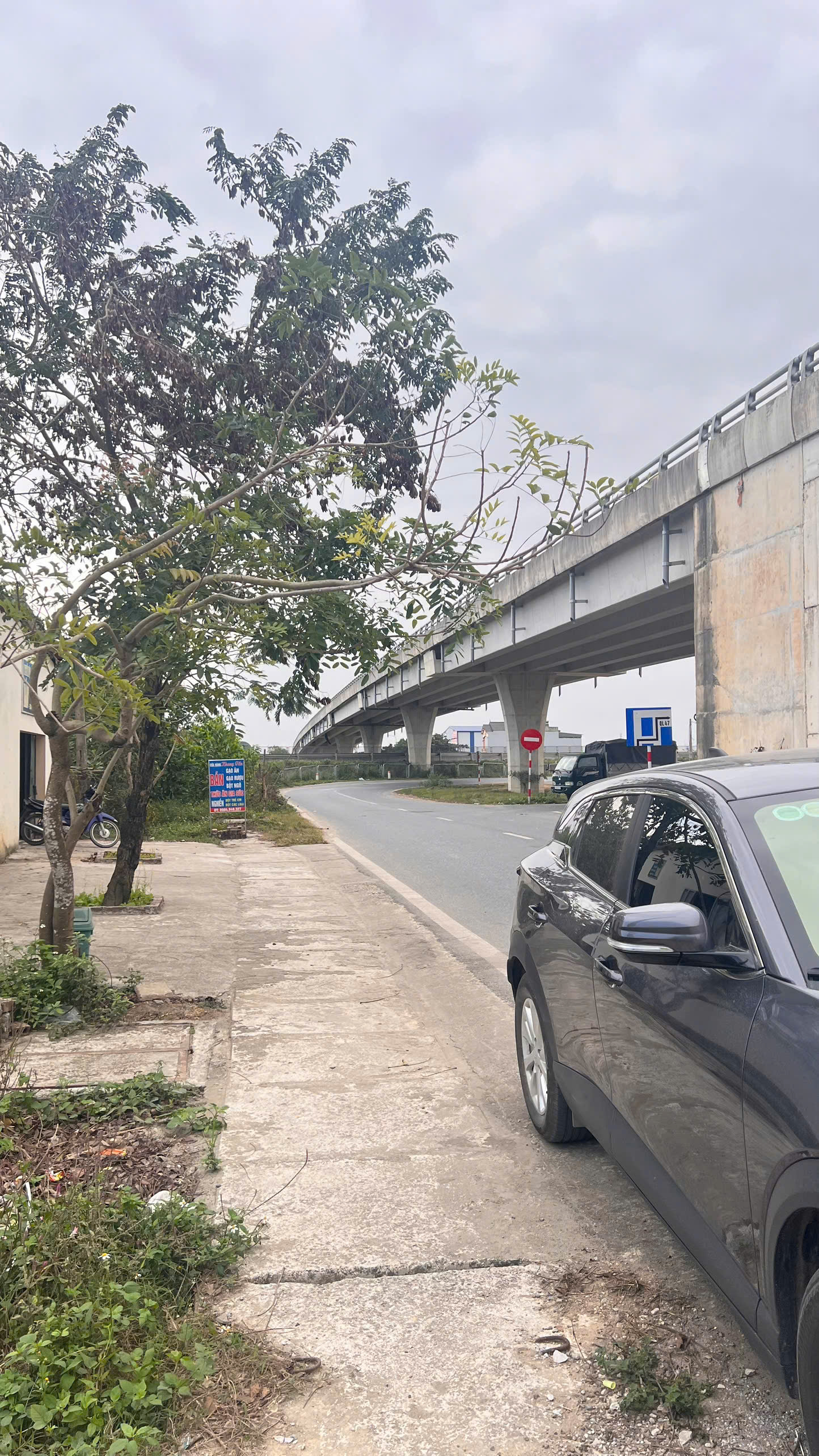 Bán đất Đông Thanh Đông Sơn 333m2 mặt tiền 10m, đường 24m gần cao tốc Đông Minh